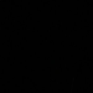 Meet your Posher, Telma